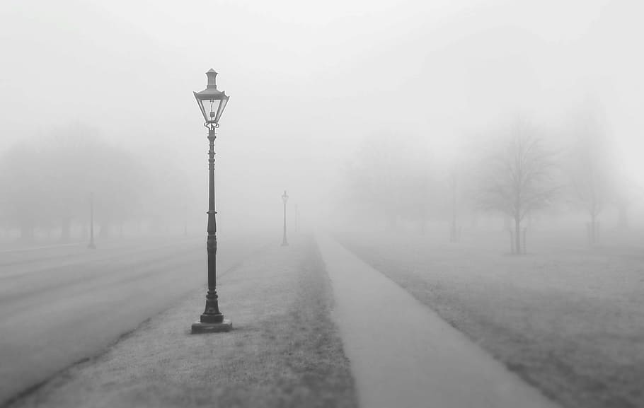 grayscale photo, lamp post, covered, mist, concrete, pathway, foggy, weather, sidewalk, park