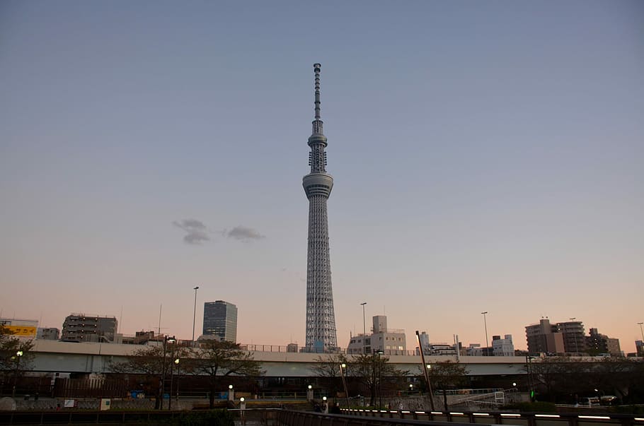 Tokyo, Menara, Malam, Cityscape, kota, arsitektur, tujuan perjalanan, pencakar langit, garis langit kota, struktur yang dibangun