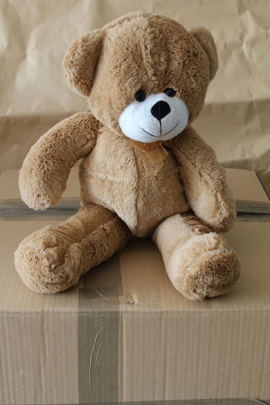 bear, teddy, soft toy, cute, fur, childhood, fluffy, stuffed, animal, cuddly