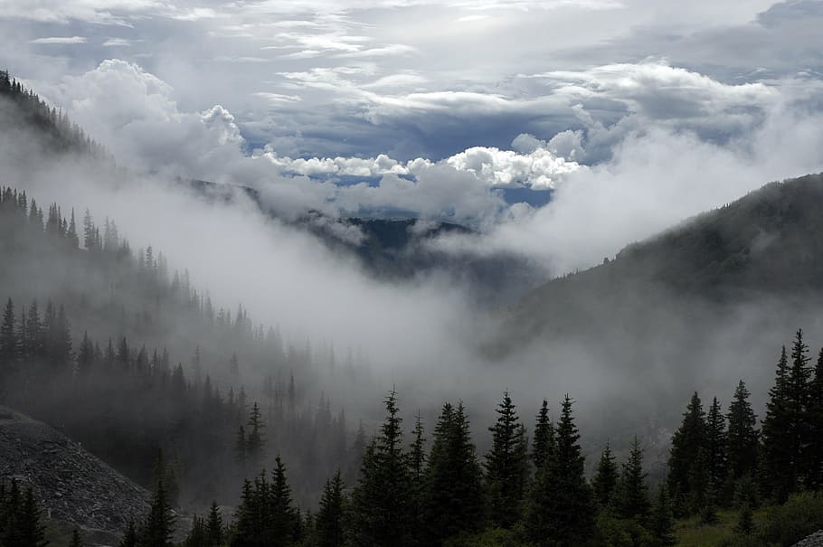 nevoeiro, coberto, falésias da montanha, nevoeiros, cobrindo, montanha, cinza, céu, nuvens, montanhas