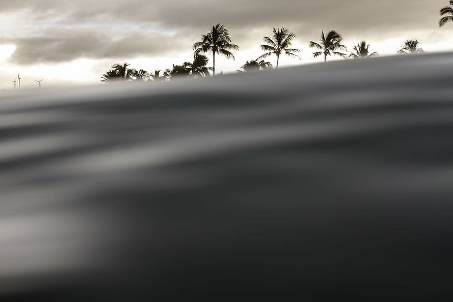 untitled, windmill, coconut, tree, plant, clouds, sky, water, waves, nature