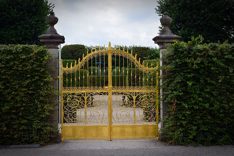 yellow, metal gate, green, leaf plants, wrought iron, iron gate, goal, gate, gold, portal