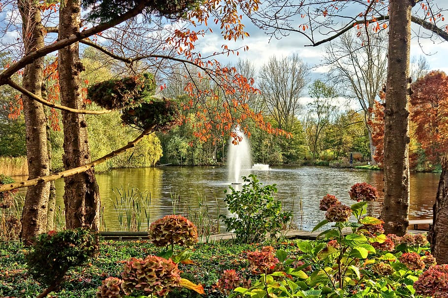 body, water, inside, forest, daytime, fountain, pond, park, garden, style