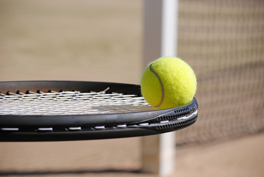 black, tennis racket, tennis ball, tennis, ball, tennis court, sport, bat, leisure activity, racket