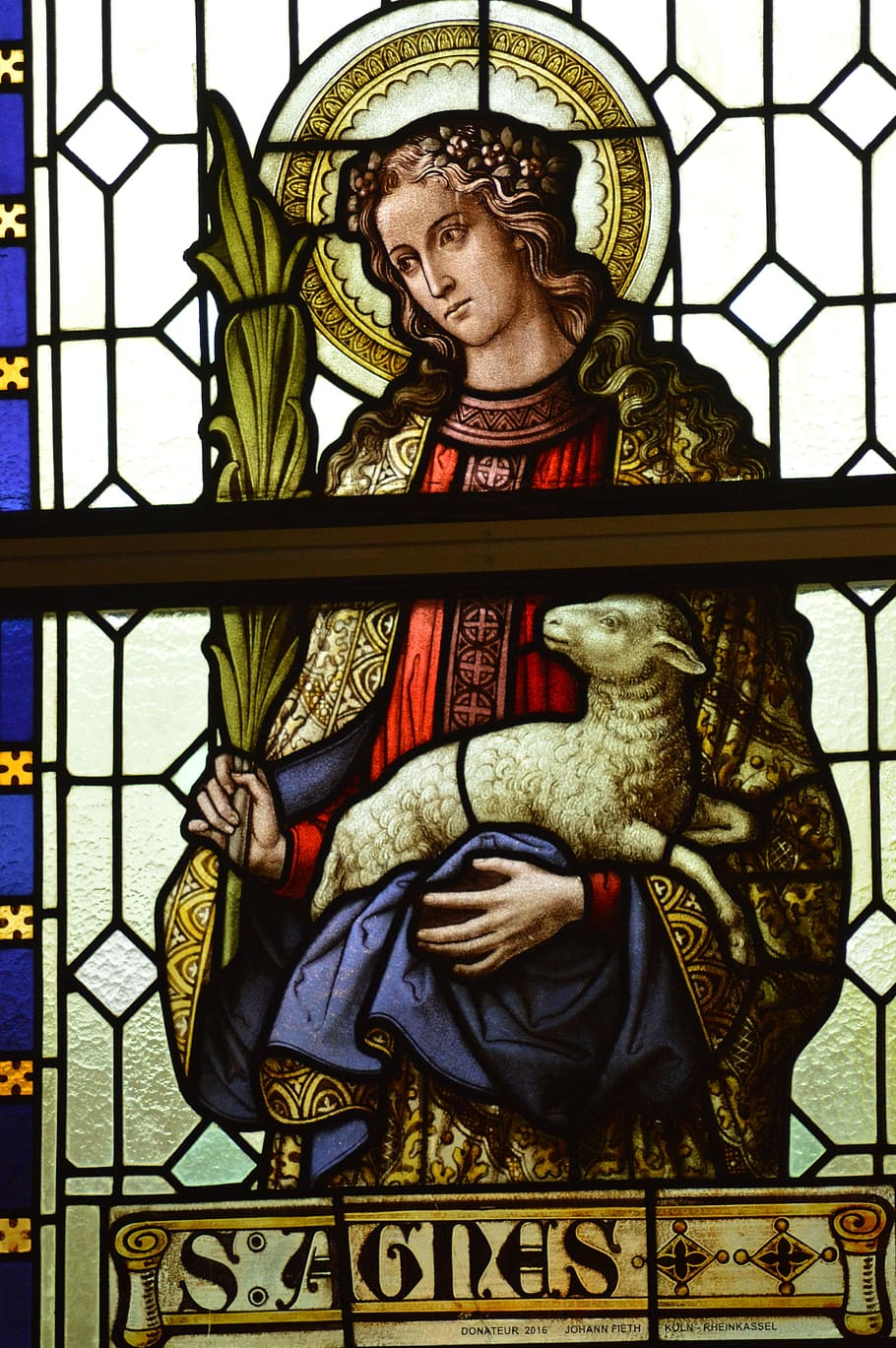 stained glass, window, church, sainte, woman, agnes, palm leaf, martyrdom, halo, lamb