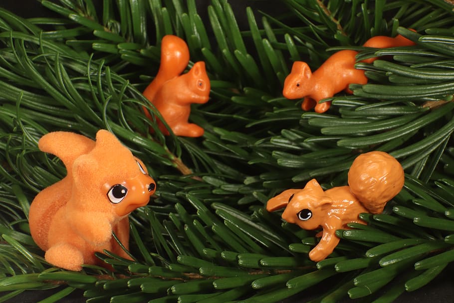 squirrel, pine needles, fir tree, green, branch, needles, animal, forest animals, toys, orange