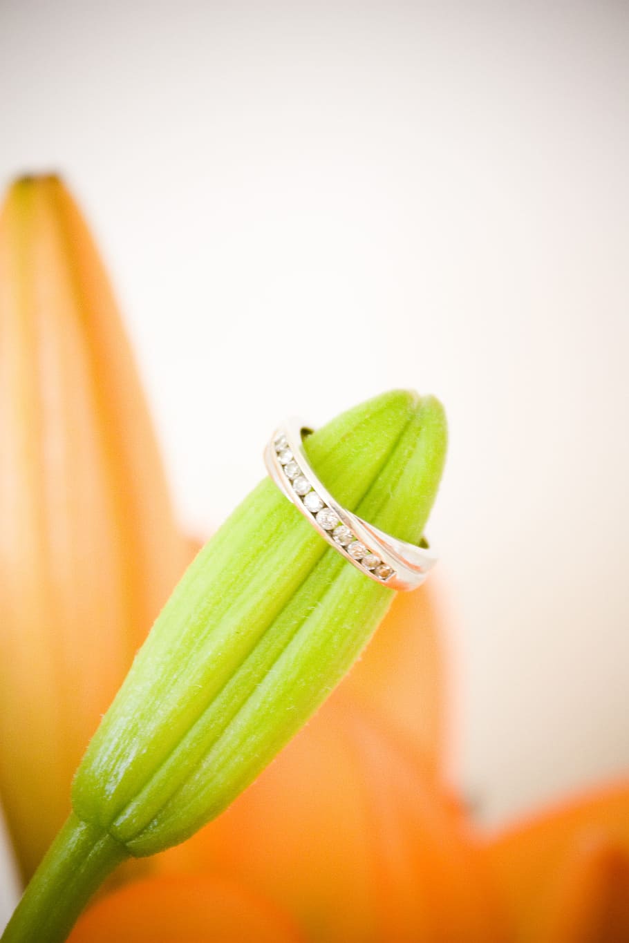 hijau, kuncup bunga, cincin berwarna perak, Engagement, Cincin, Pernikahan, Pesta, Pengantin, pertunangan, pengantin pria