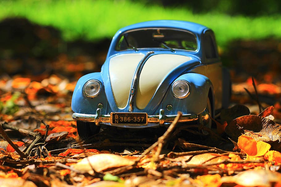 volkswagen, beetle, classic, auto, car, old, vintage, vehicle, automotive, transport