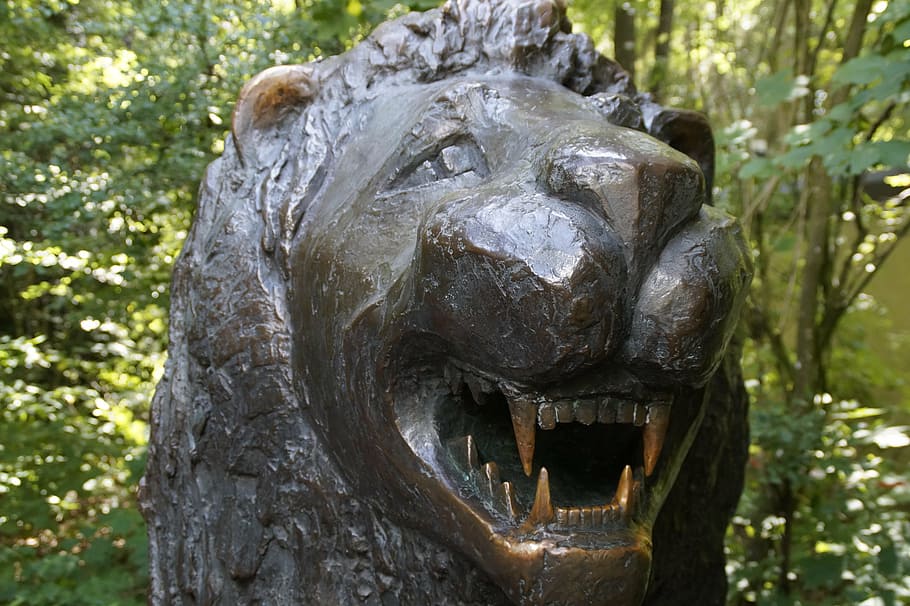 leão, dente, descobrindo dentes, bronze, estátua, cabeça de leão, escultura, jardim zoológico, arte e artesanato, representação