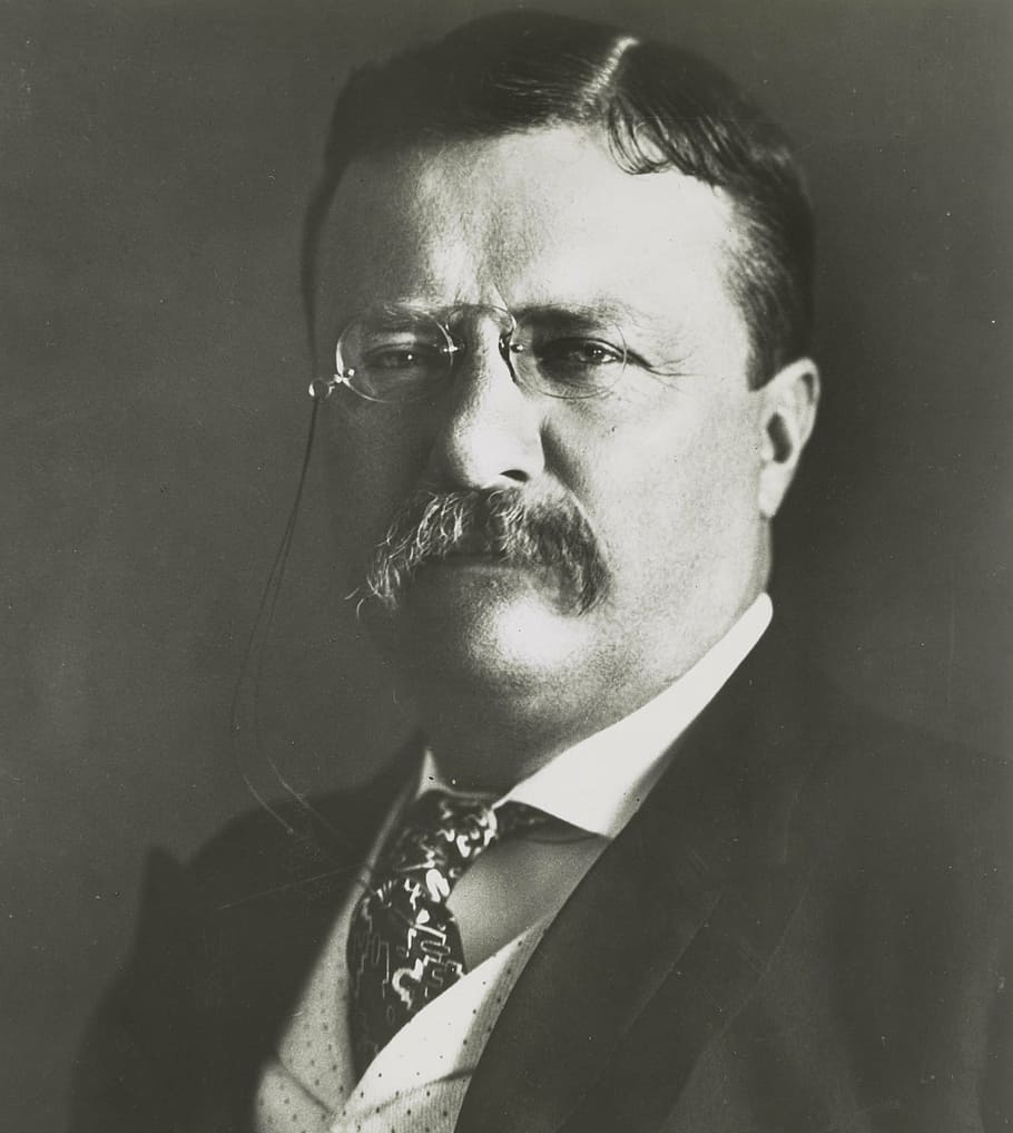 man portrait grayscale photography, theodore roosevelt, politician, man, person, portrait, monochrome, black and white, history, historical