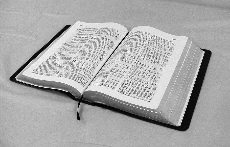 opened, bible, grey, cloth, book, text, word, scripture, faith, read