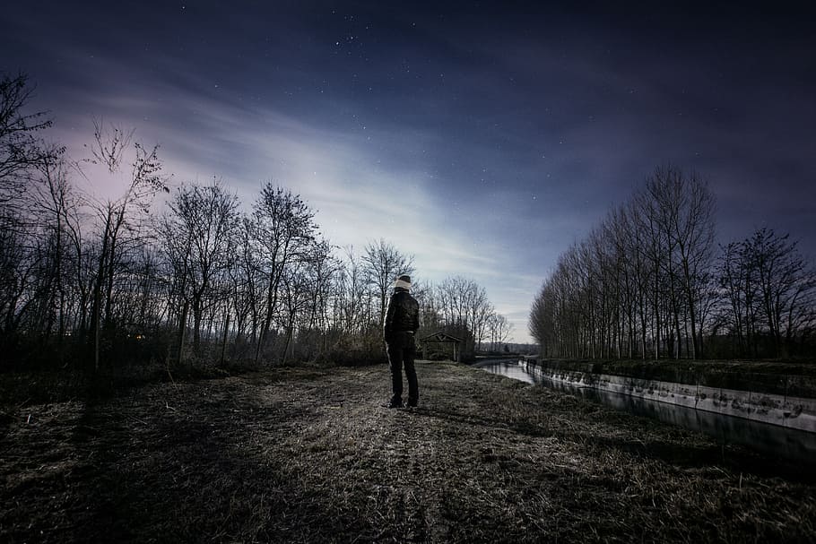 person, standing, tree, white, clouds, blue, sky, man, stars, observing