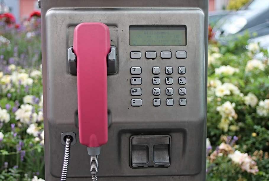gray, pink, outdoor, telephone, daytime, shallow, focus photography, phone booth, payphone, public