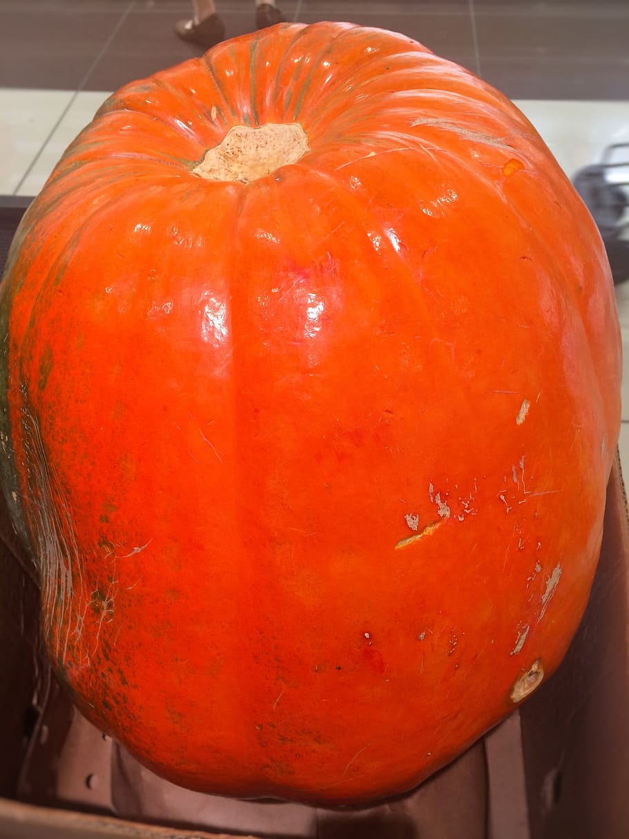 muito grande, abóbora, dia das bruxas, laranja, enorme, outubro, seiyu ltd, vida, supermercado, frutas e legumes