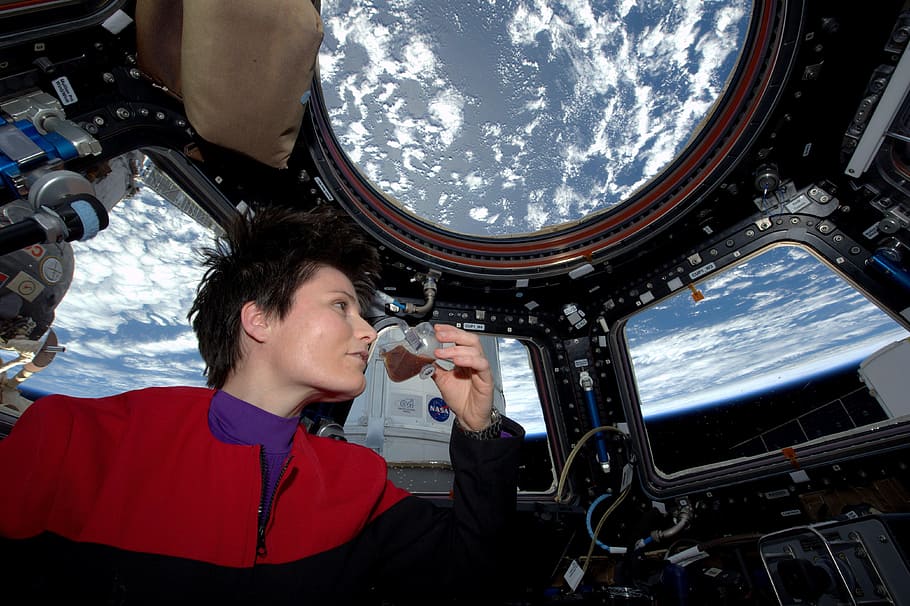 person, red, black, zip-up jacket, sipping, drink, astronaut, international space station, cupola, iss