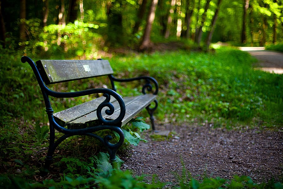bank, garden, nature, park bench, steigerwald in erfurt, forest, garden bench, spring, relaxation, rest