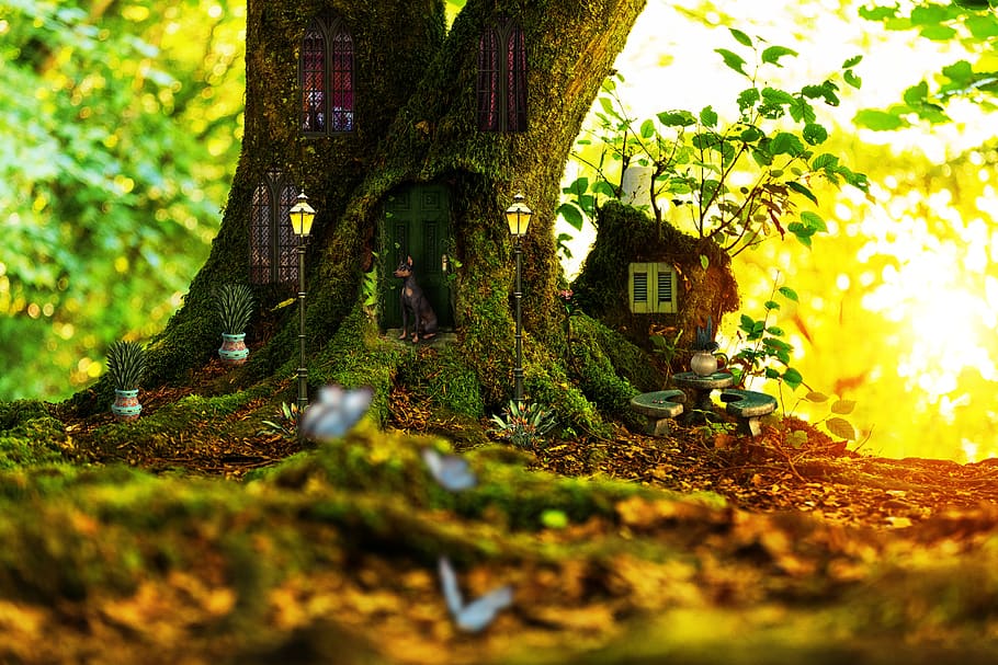 tree, house, magical, mystical, enchanted, door, window, light, girl, dog