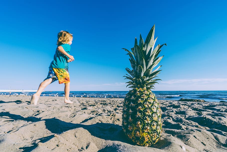 beach, birds, blue sky, boy, child, fruit, horizon, lake, pineapple, running