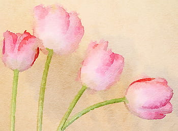 Fotos pintura de flores rosadas libres de regalías | Pxfuel