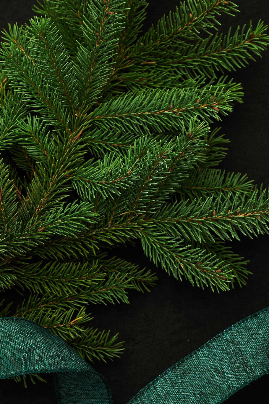 seasonal, backgrounds, christmas, flat lay, pine, tree, branches, festive, holiday, merry
