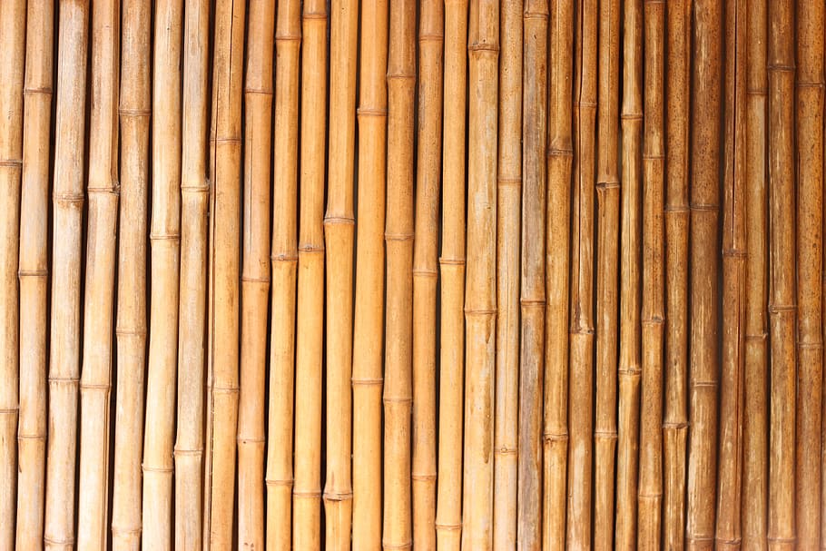 bambus marrons, bambu, textura, vermelho, fundos, bambu - Material, padrão, natureza, madeira - Material, bambu - Planta
