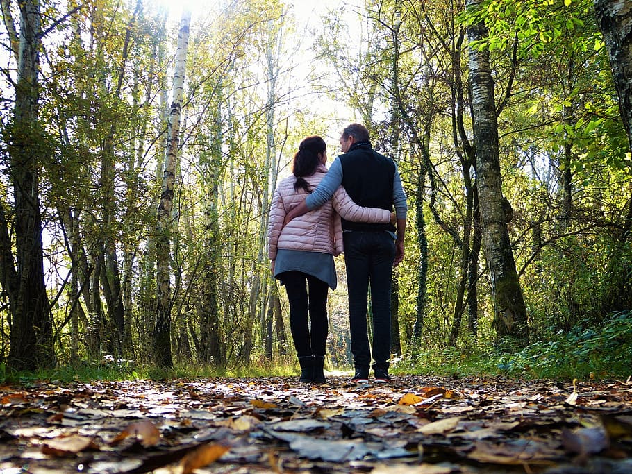 bosque, árboles, hojas, otoño, ir, caminar, lejos, mujer, hombre, pareja