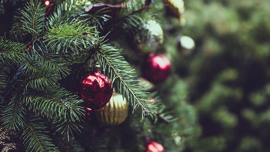 christmas, tree, lights, ball, decor, ornaments, holiday, season, blur, bokeh
