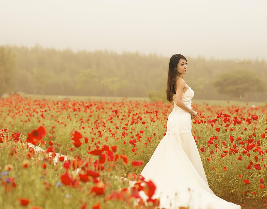 mujer, blanco, vestido, en pie, medio, rojo, campo de flores, flores, vestirse, una sola mujer