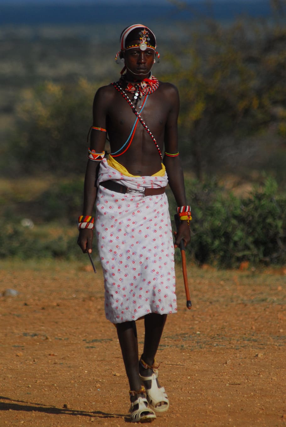 Samburu, boda, ceremonia, celebración, tribal, África, nómadas, tradicional, Kenia, longitud total