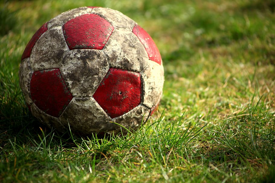 white, red, soccer ball, green, grass, football, meadow, rush, front yard, sport
