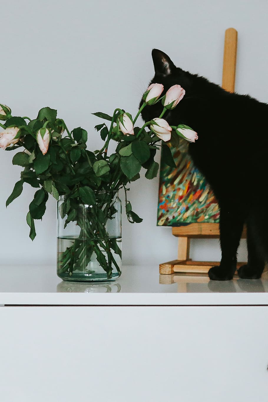 black, cat, flowers, painting, Black cat, roses, pet, animal, art, paintings