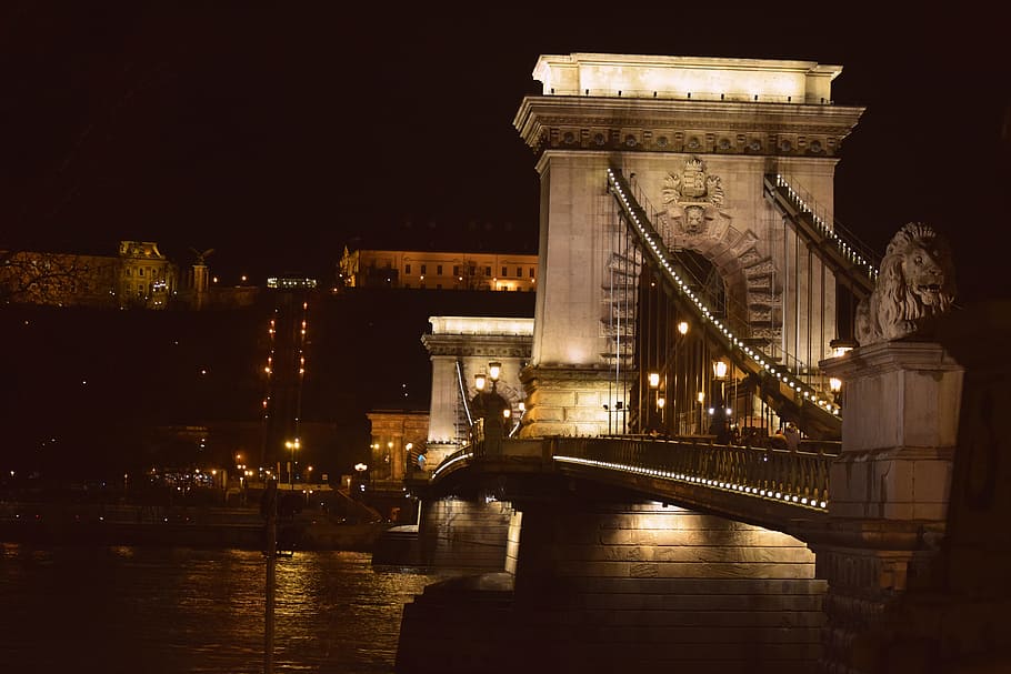 Budapest, Chain Bridge, At Night, bridge, night, bridge - man made structure, architecture, illuminated, built structure, suspension bridge