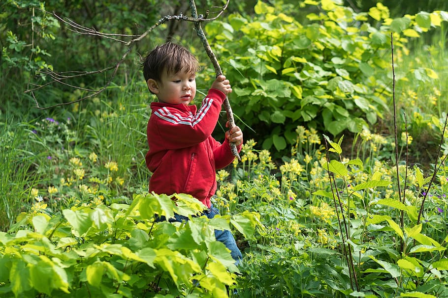 boy, forest, nature, child, childhood, fun, happy, outdoors, activity, little