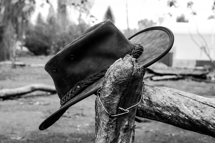 australia, hat, cowboy, black and white, focus on foreground, day, close-up, tree, animal, nature