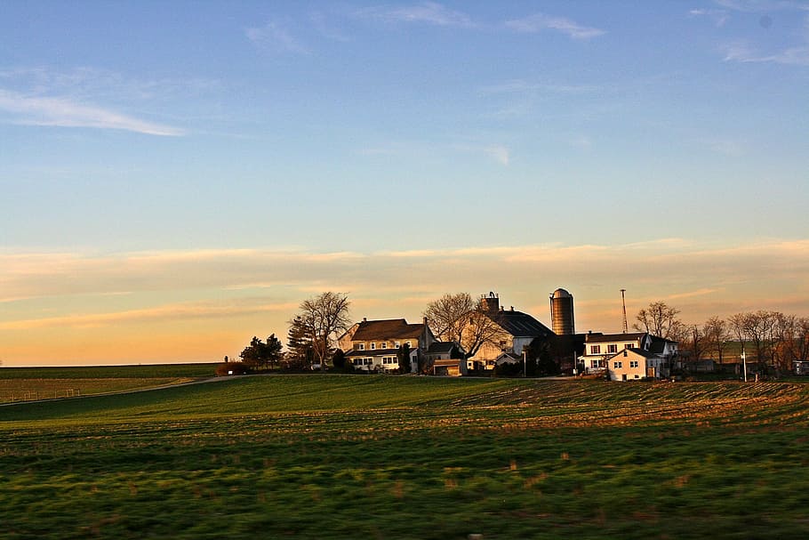 fotografia de paisagem, campo, branco, edifícios, dia, marrom, casa, verde, grama, azul