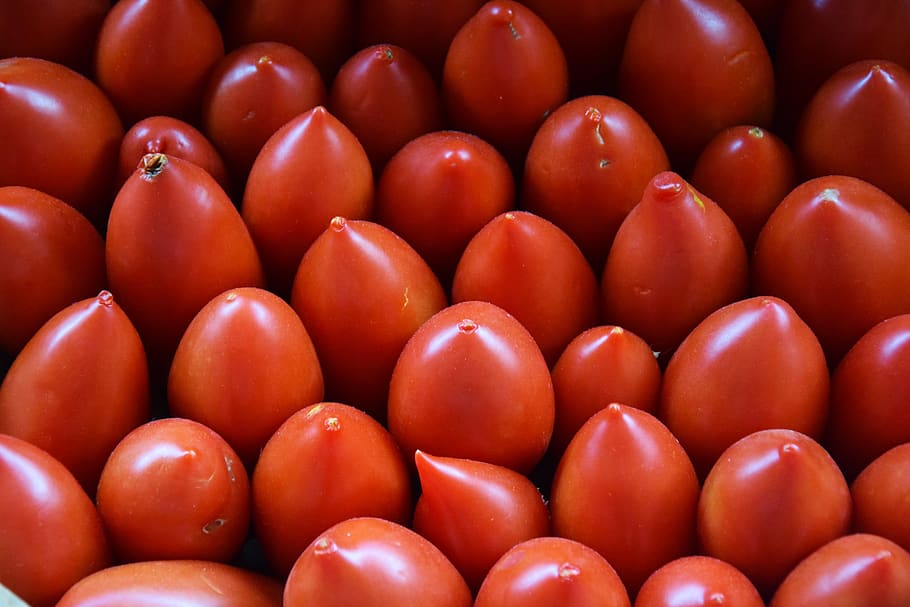 tomat, merah, Sayuran, makanan, taman, dapur, alam, bibit tomat, makan, dimakan