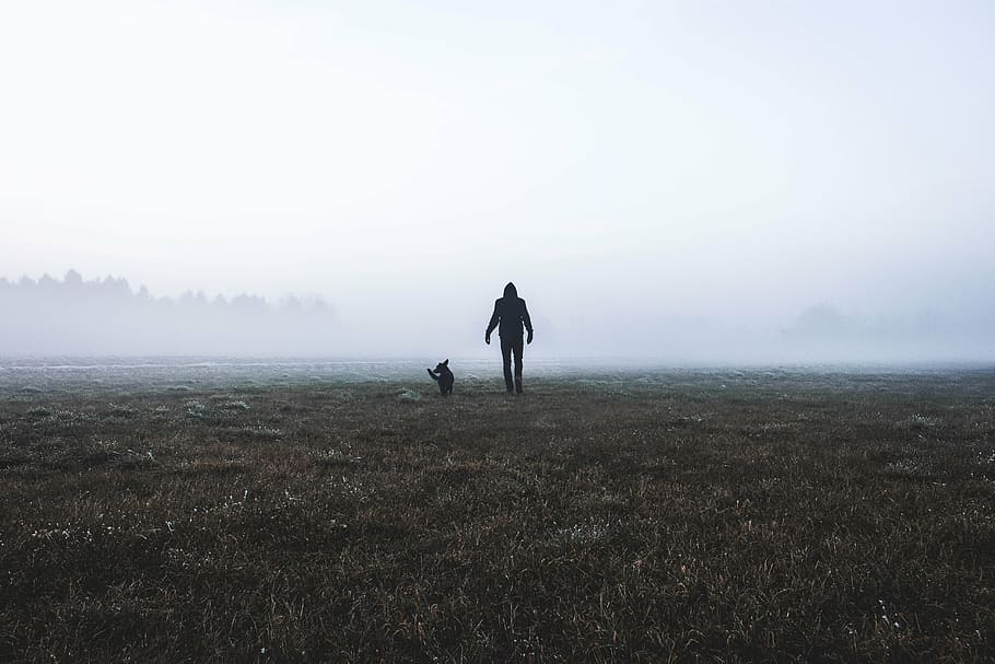 silhouette, man, animal, fog, cold, weather, tree, plant, field, outdoor