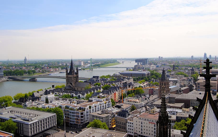 View, Dom, Cologne, Crane, view from dom, crane homes, rhine, roofs, places of interest, port