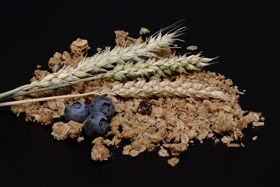 plant grain, white, wheat, muesli, granola, blueberries, grain, cereals, eat, grains