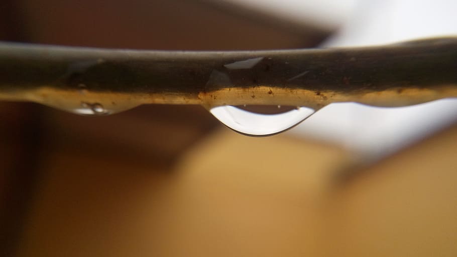 water, drop, cable, tap, rain, wet, nature, plant, moisture, fall