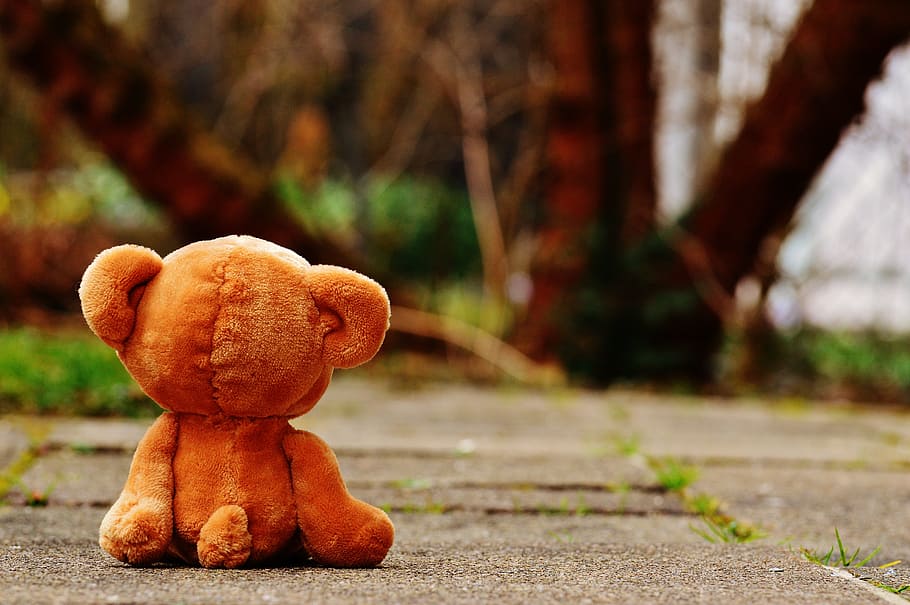 brown, teddy, bear, sitting, grey, concrete, floor, facing, backwards, lonely