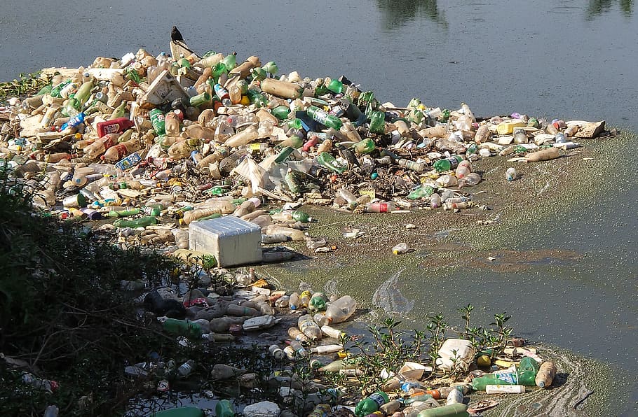 desechos, flotante, agua, basura, River Pines, escombros, contaminación, botella para mascotas, alcantarillado, plástico