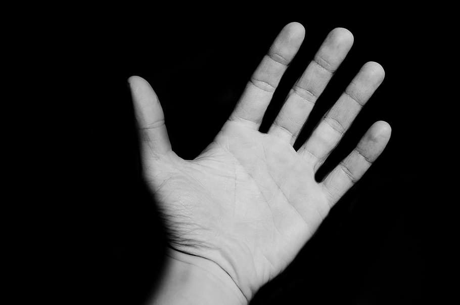 회색조 사진, 인간의, 왼쪽, 손, 지원, 배경, 신체, 통신, 개념, 손가락