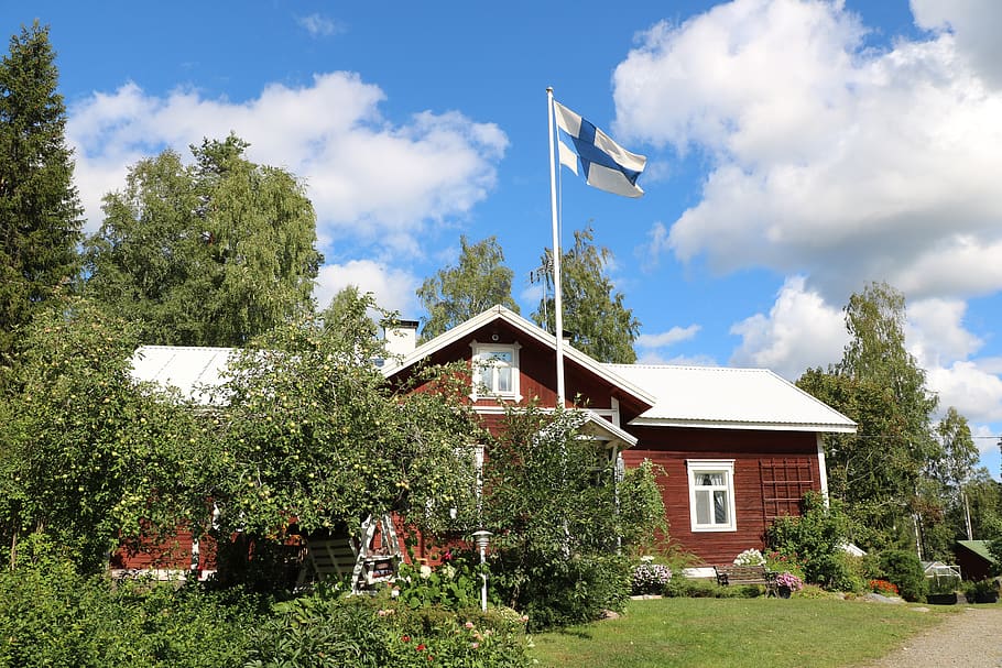 the old house, wooden house, countryside, architecture, summer, yard, apple tree, flag, flag of finland, built structure