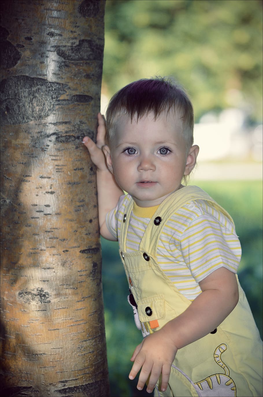 beautiful son, kid, baby, the tree, blue eyes, beautiful baby, child, childhood, portrait, innocence
