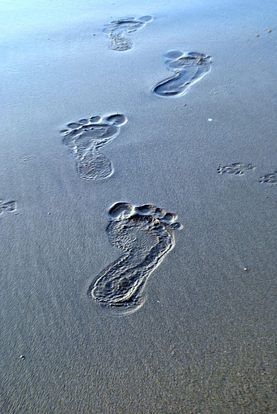 footprints on sand, footsteps, sand, traces, barefoot, footprint, beach, walk, summer, vacation