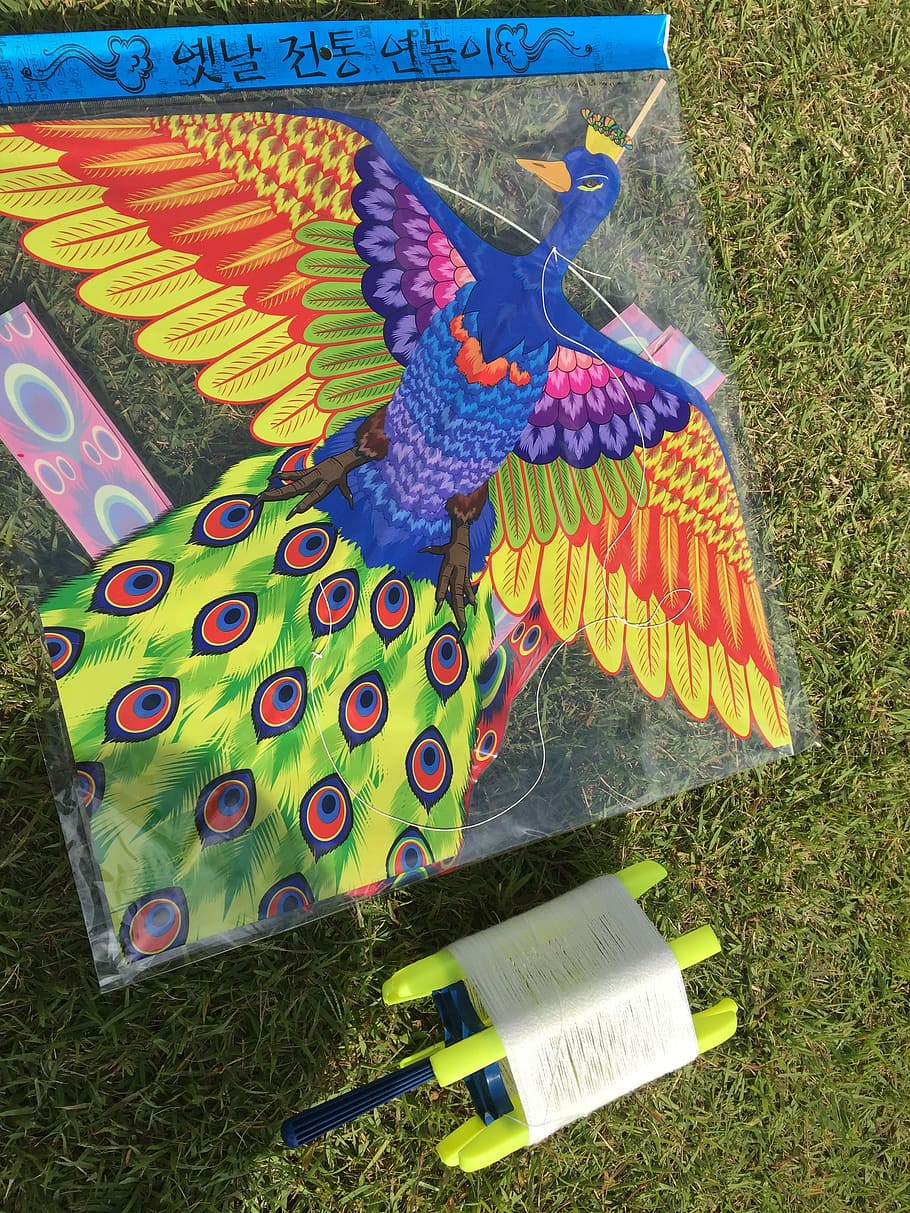 kite, suwon hwaseong, multi colored, high angle view, grass, plant, creativity, field, nature, day