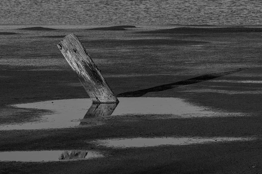 grey, scale photo, wooden, plank, grayscale, wood, floating, body, water, lake