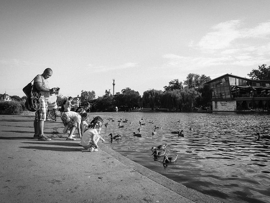 group, people, sitting, body, water, gray, scale, shot, bodies, kids