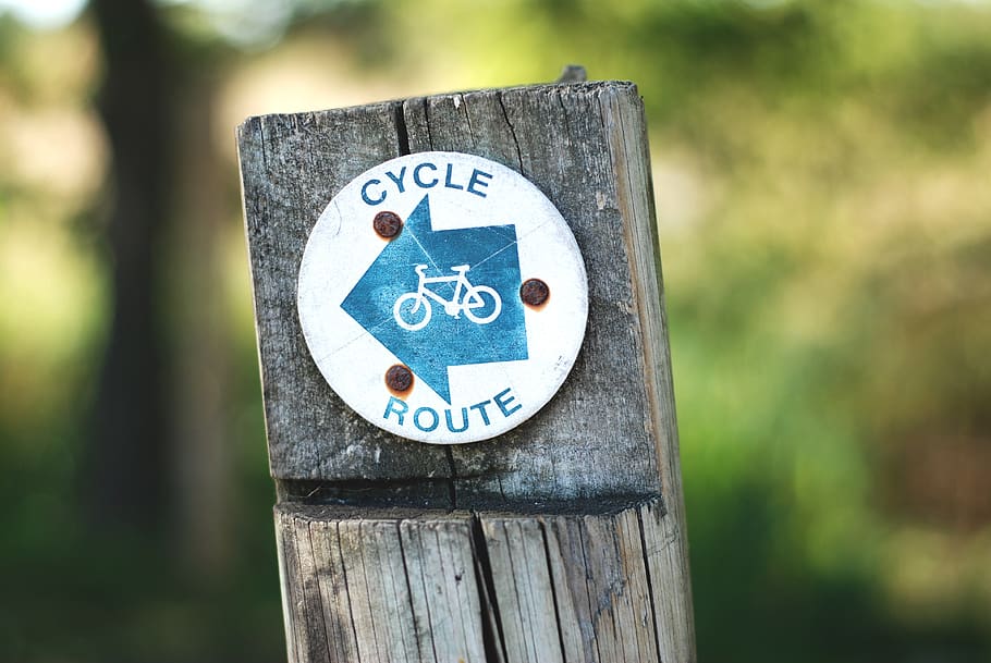 ciclo, ruta, bicicleta, madera, árboles, desenfoque, ejercicio, hobby, deporte, letrero